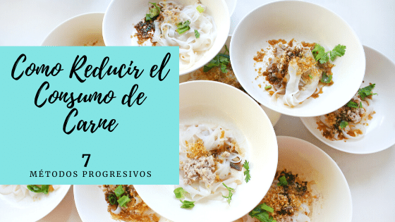 Como Reducir el Consumo de Carne: Guía con 7 Métodos
