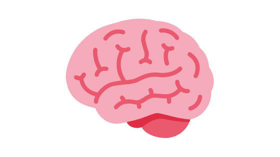 Como Afecta el Alcohol al Cerebro