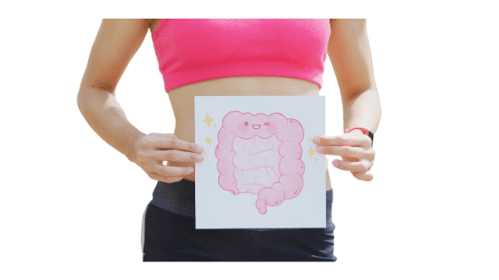 Como Recuperar la Flora Intestinal