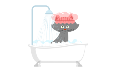 Cómo Bañar a un Gato Adulto