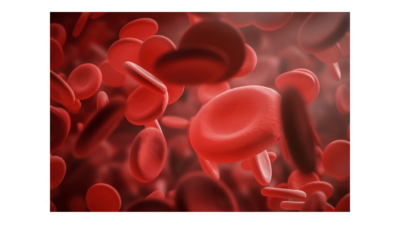Cómo Está Compuesta la Sangre: Todos sus Rasgos Explicados