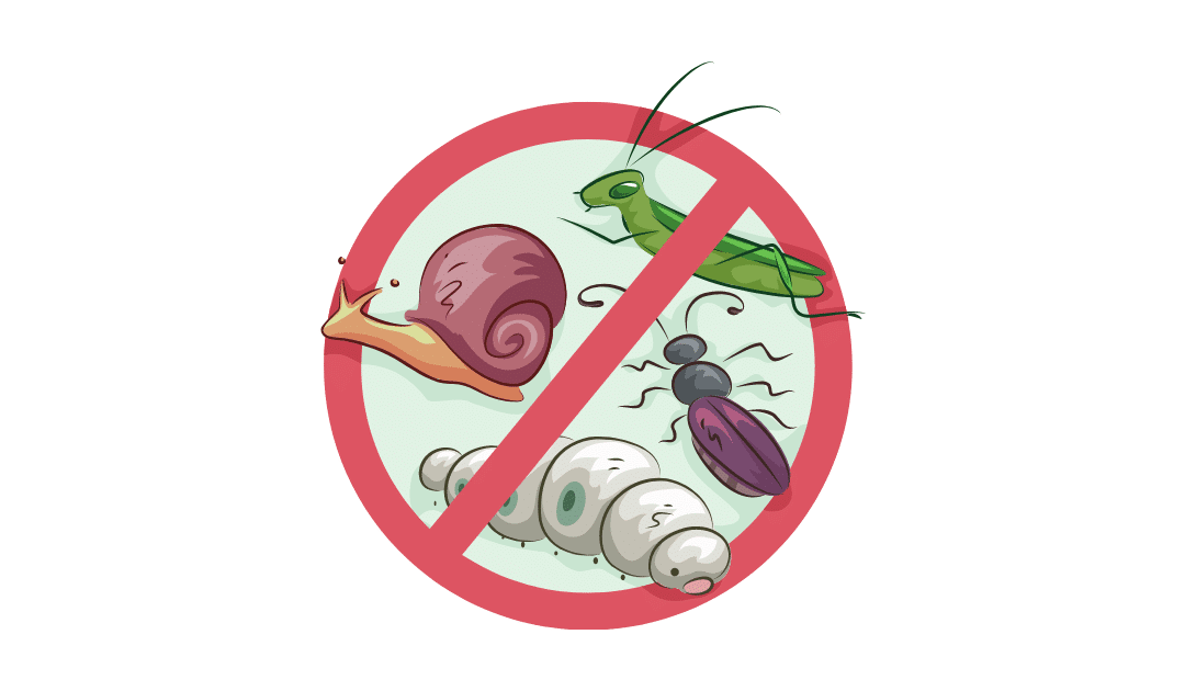 Cómo Proteger los Cultivos de las Plagas: 6 Tips Increíbles