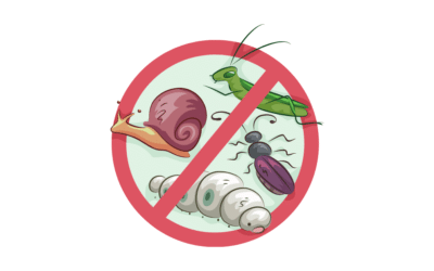 Cómo Proteger los Cultivos de las Plagas: 6 Tips Increíbles