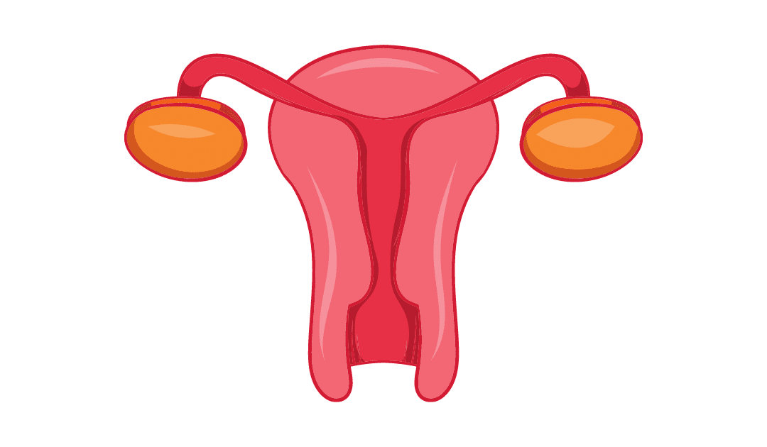 Cómo Curar una Infección Vaginal: Identifícala y Elimínala